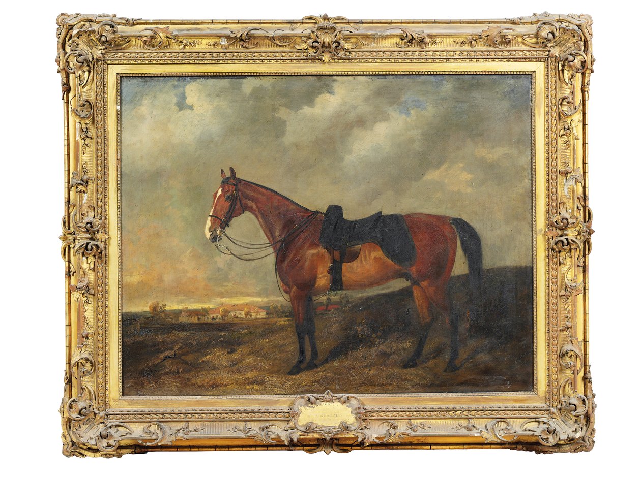 Shadrach, ein kastanienbrauner Jäger in einer Landschaft von Byron Webb