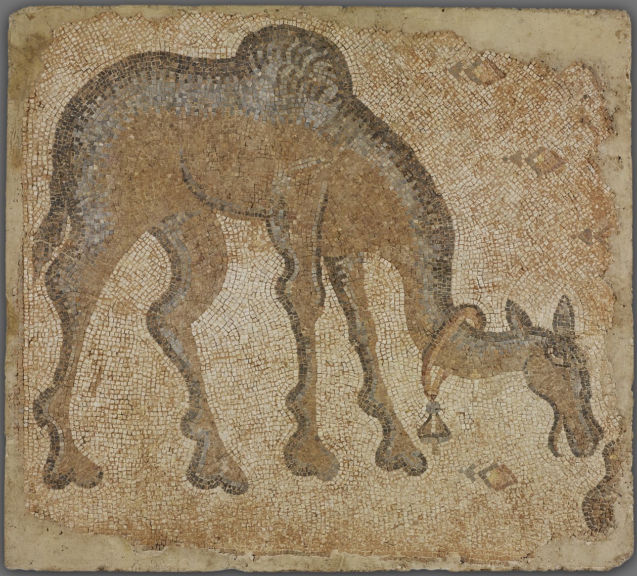 Mosaikfragment mit grasendem Kamel von Byzantine