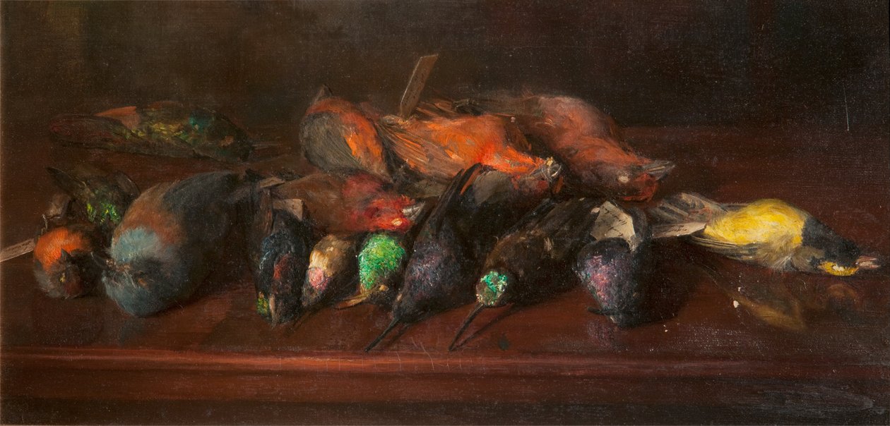 Beim Präparator von C. M. Wood