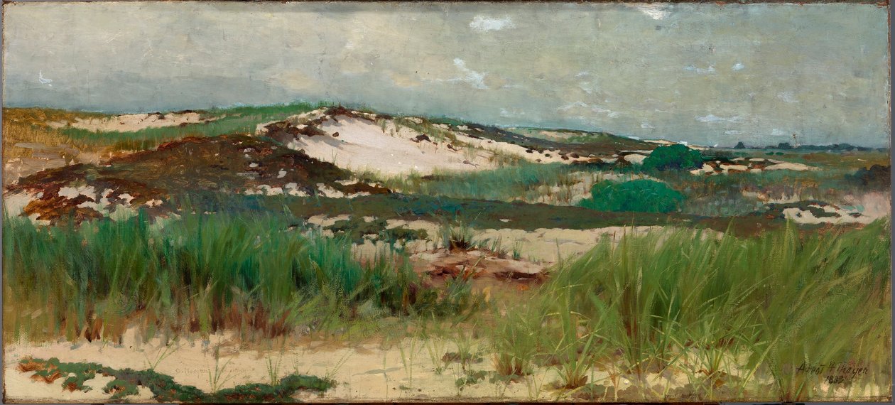 Nantucket Sanddüne von C. Morgan McIlhenney