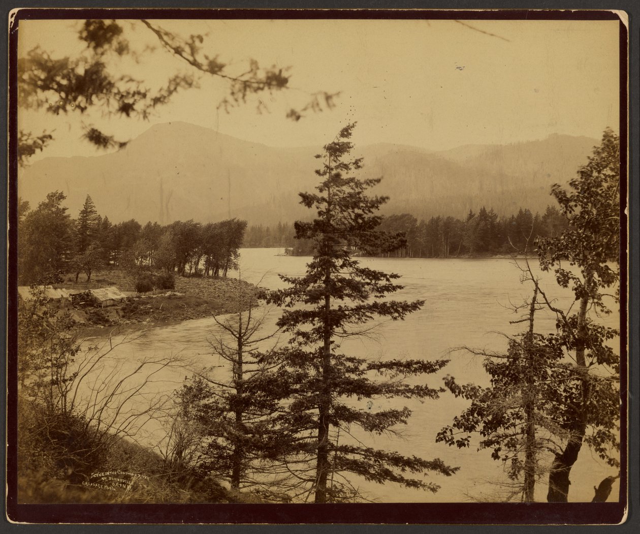 Szene am Columbia River von C. R. Savage