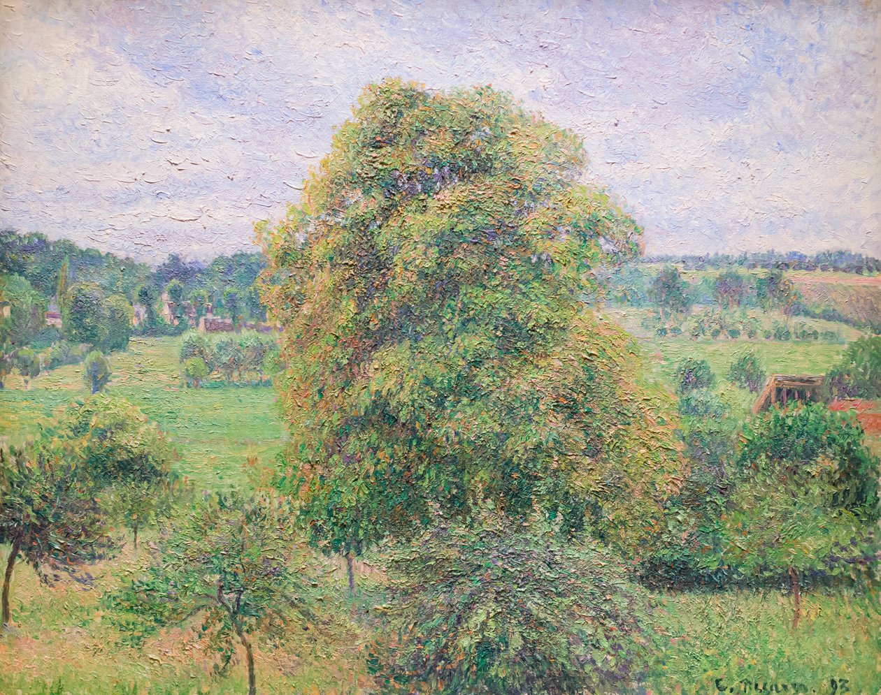 Großer Walnussbaum in Eragny von Camille Pissarro