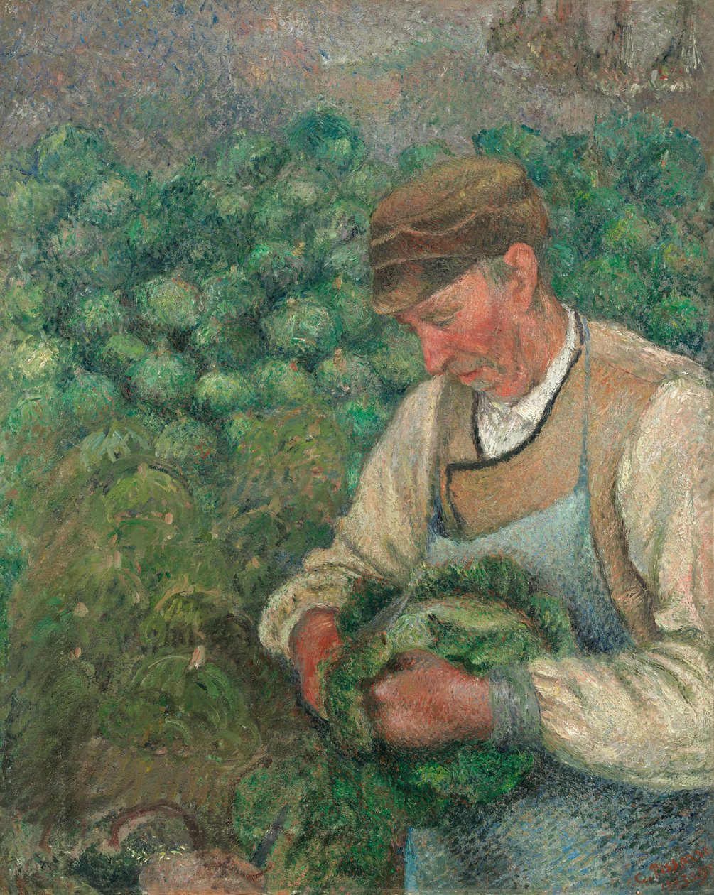 Der Gärtner - Alter Bauer mit Kohl von Camille Pissarro