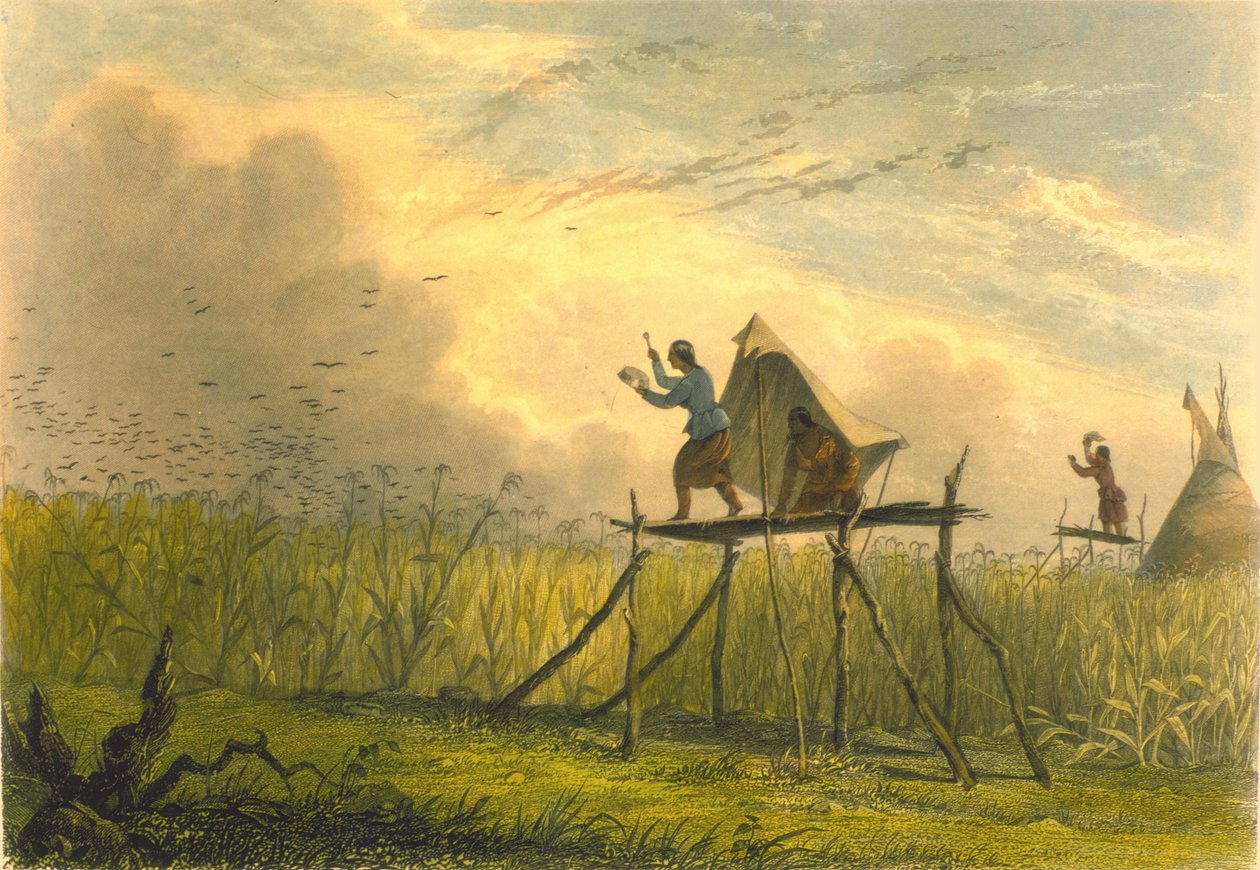 Bewachung der Kornfelder, 1853 von Captain Seth Eastman