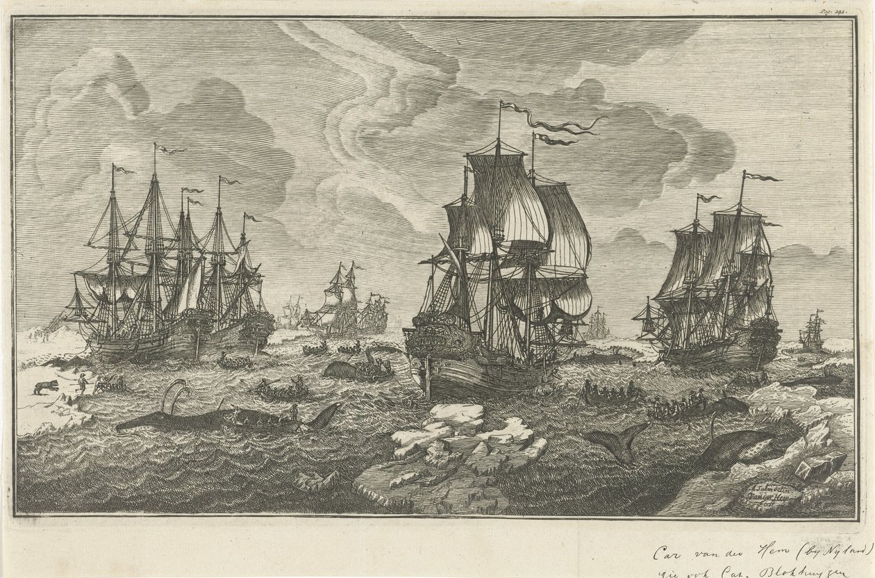 Walfänger von Carel van der Hem