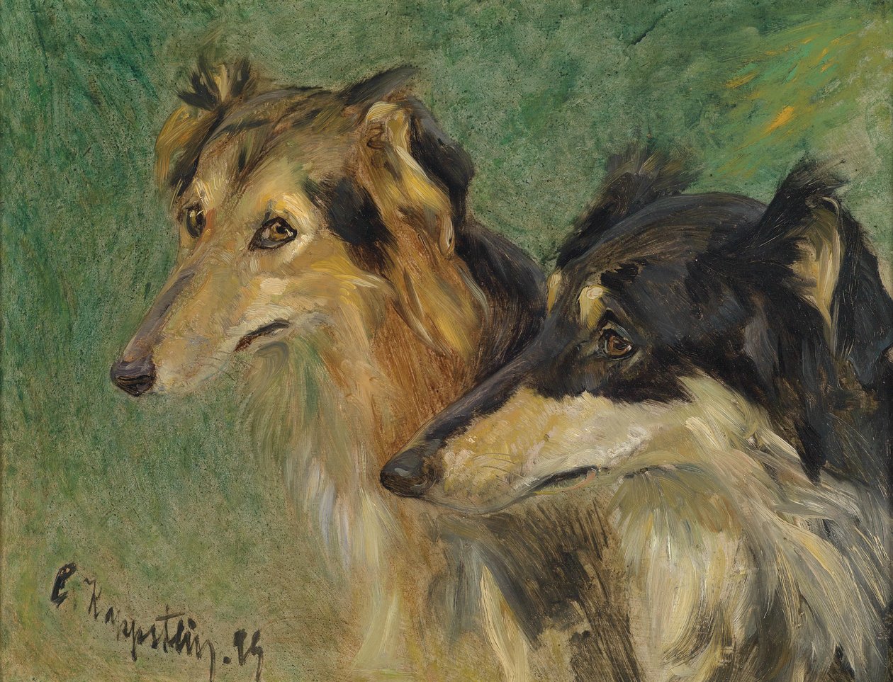 Porträt zweier Borzoj-Hunde von Carl Friedrich Kappstein