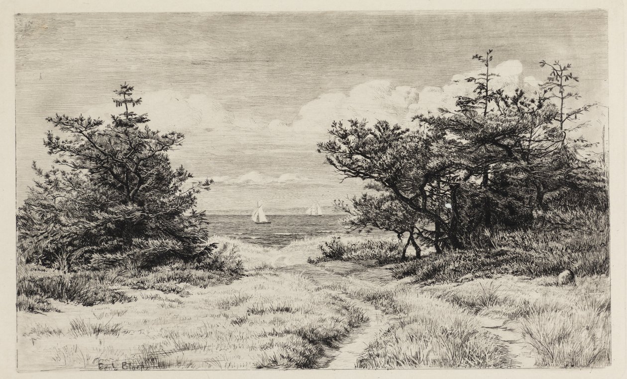 Blick auf das Meer von Carl Bloch