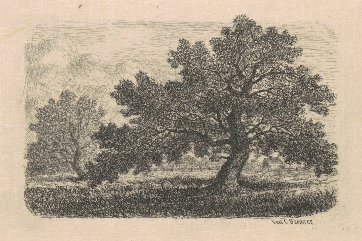 Apfelbäume von Carl C. Brenner
