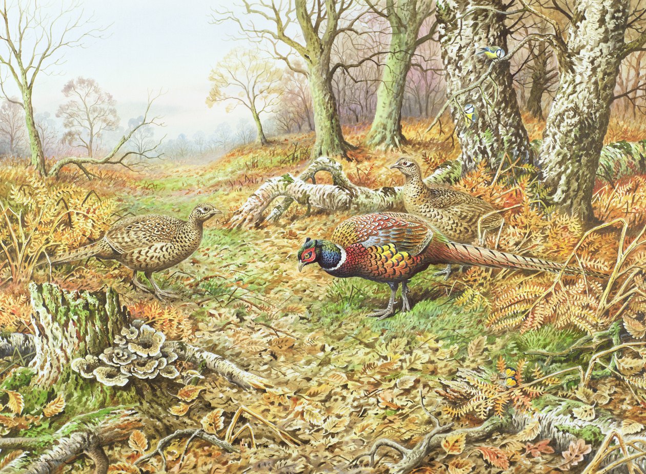 Fasane mit Blaumeisen von Carl Donner