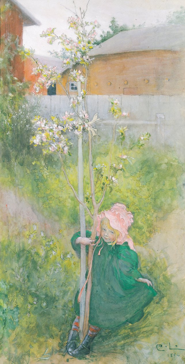 Apfelblüte von Carl Larsson
