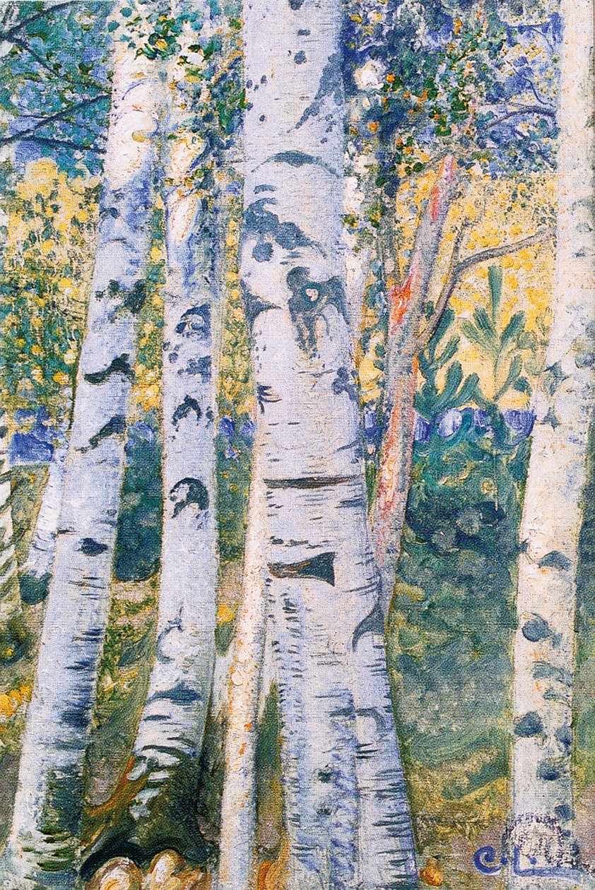 Birken, 1910 von Carl Larsson