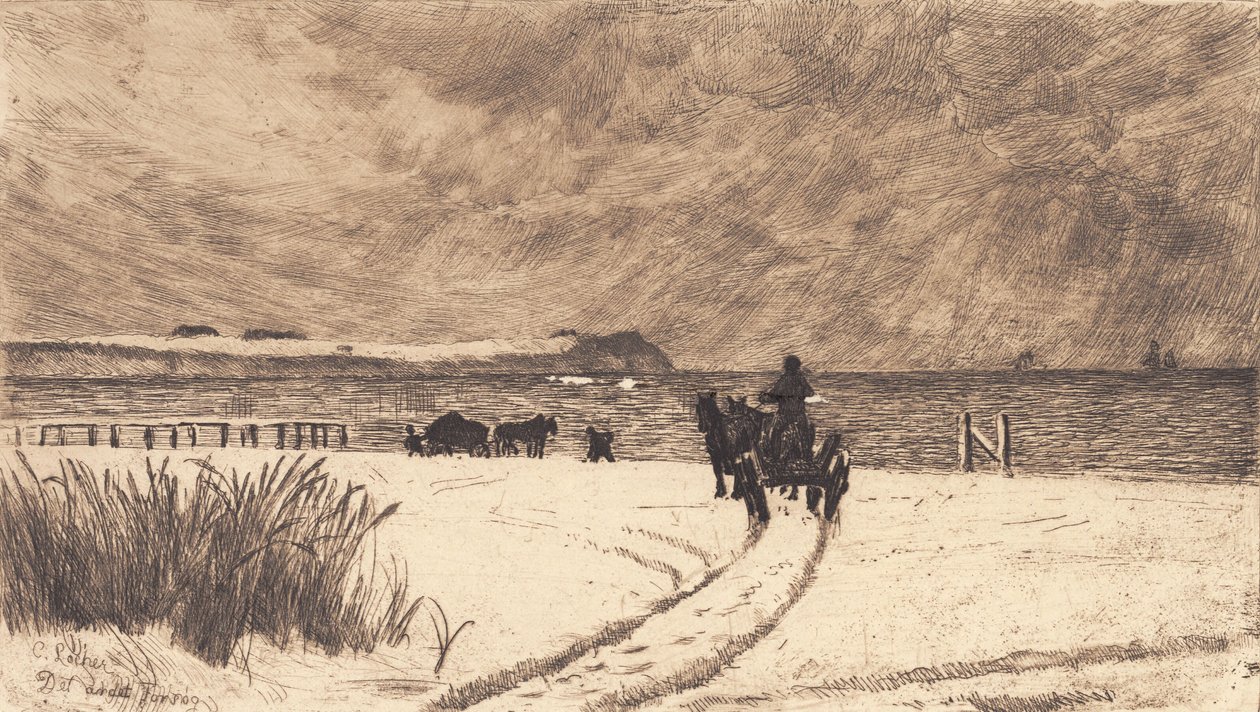 Wintertag bei Hornbæk von Carl Locher