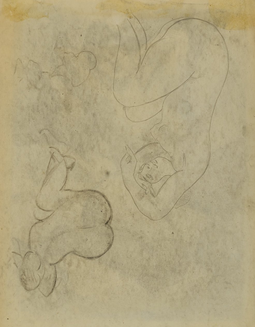 Zwei weibliche Figurenstudien von Carl Newman