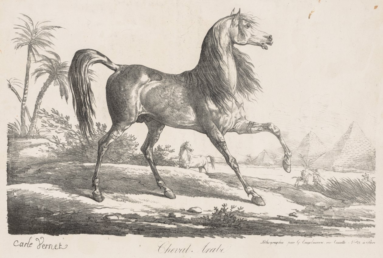Suite de Chevaux: Arabisches Pferd von Carle Vernet