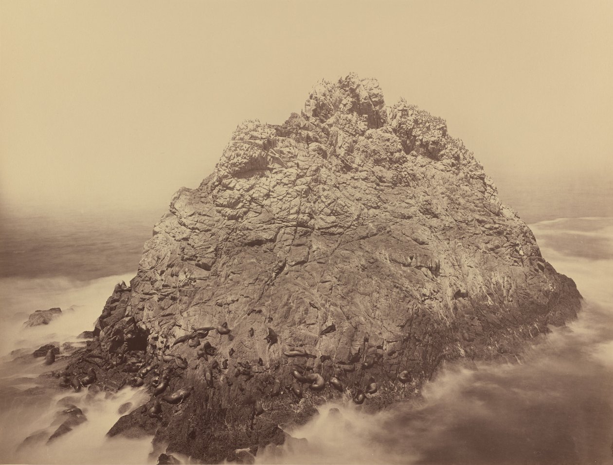Zuckerhutinsel, Farallons, 1868-1869 von Carleton Emmons Watkins