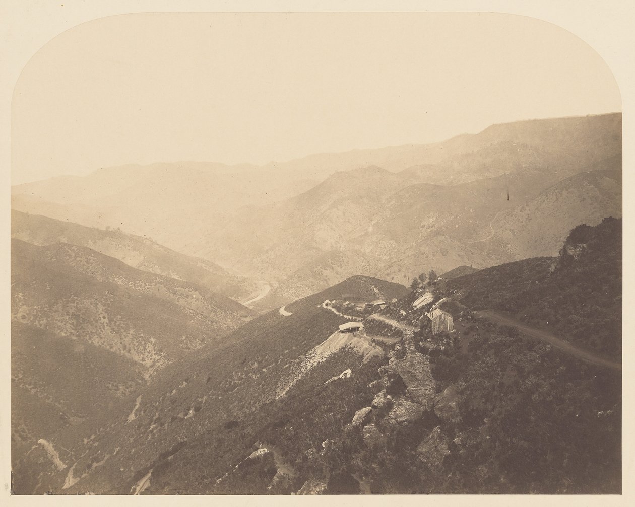 [Pine Tree Mine] von Carleton Watkins