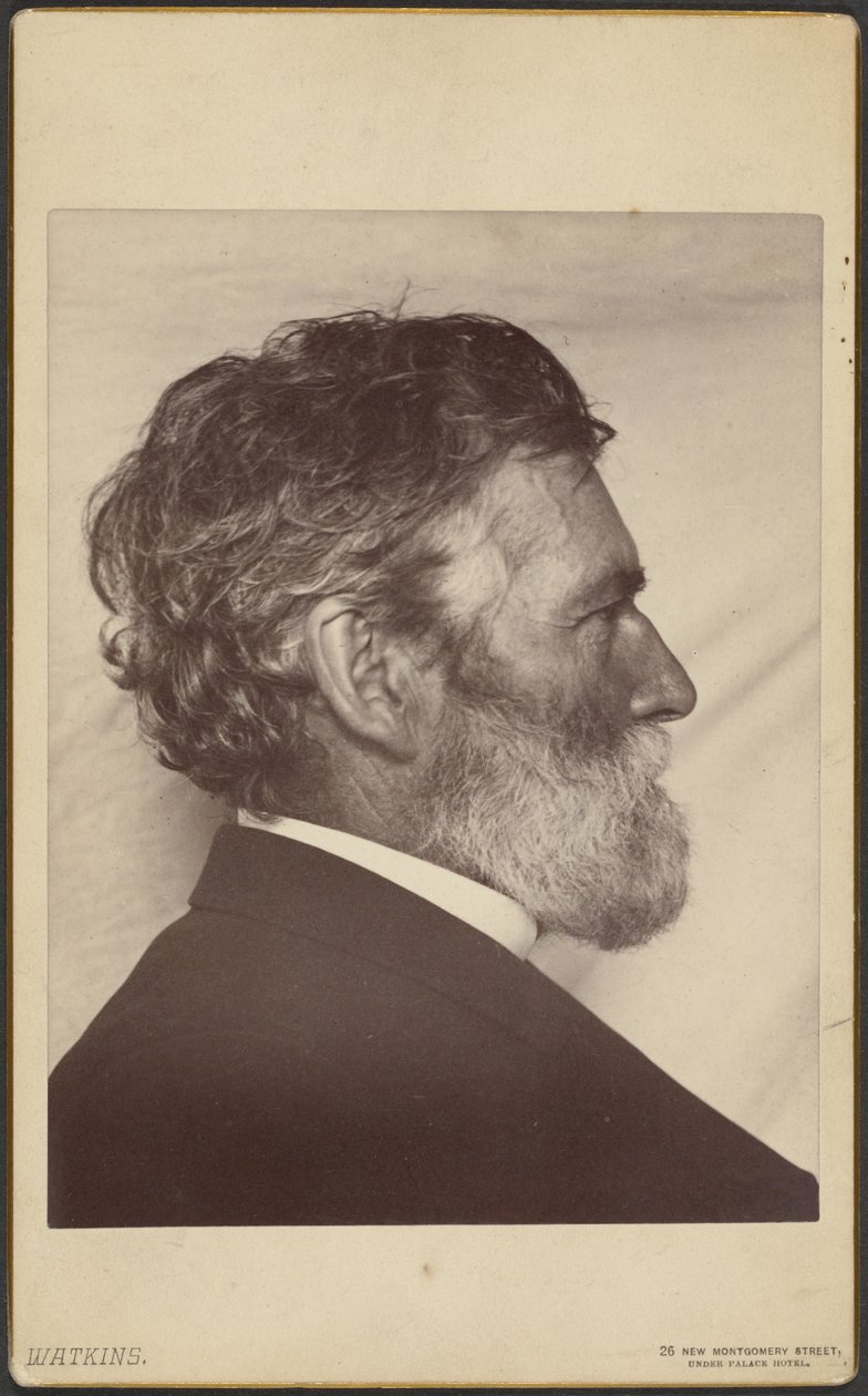 Porträt von George Davidson von Carleton Watkins