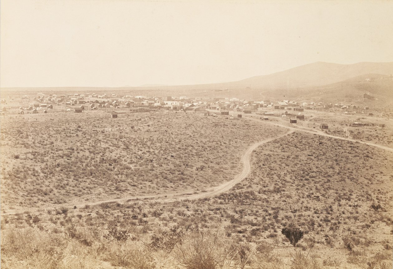 Tombstone, Arizona von Carleton Watkins