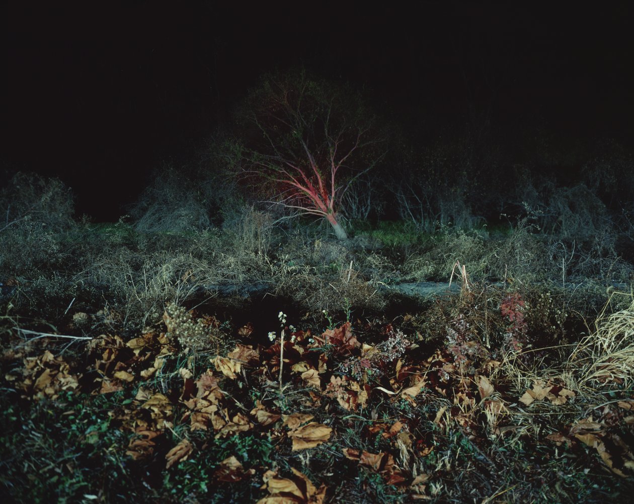 Malen im Dunkeln, 2011 von Carli Choi