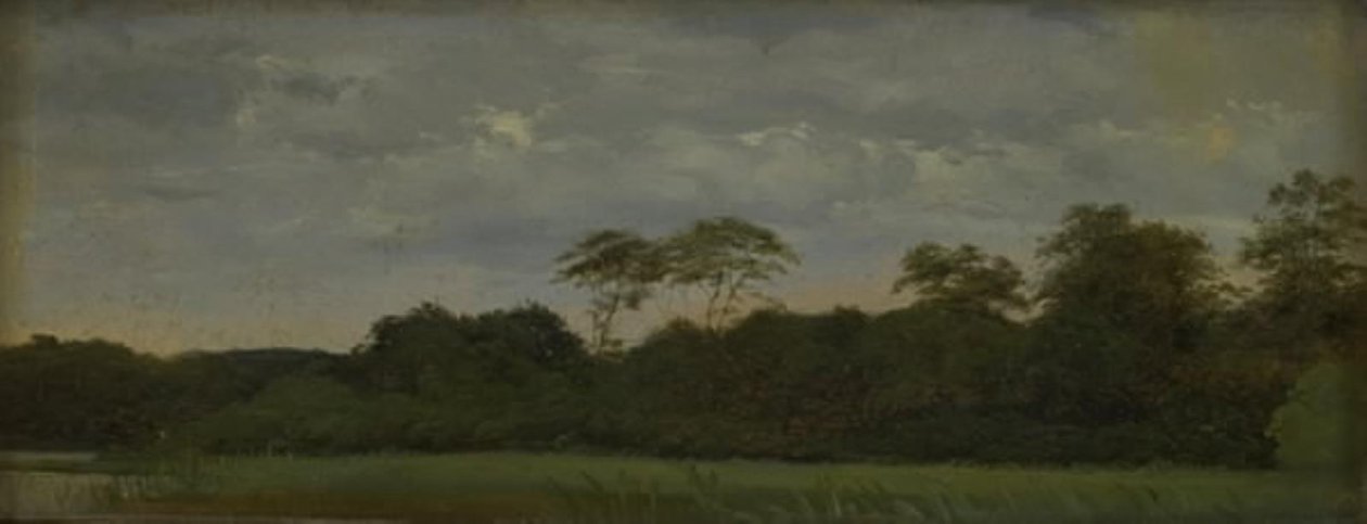 Eine Wiese an einem Waldsee von Carlo Dalgas