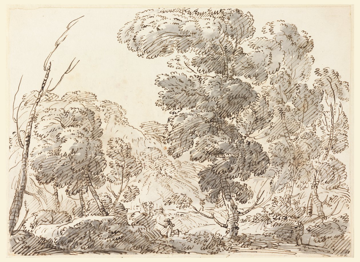 Straße in einem bergigen Land von Carlo Marchionni