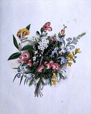 Sommerblumenstrauß, 19. Jahrhundert von Caroline Louisa Meredith