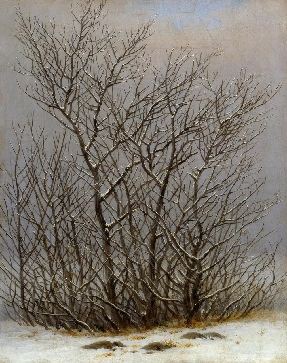 Gebüsch im Schnee von Caspar David Friedrich