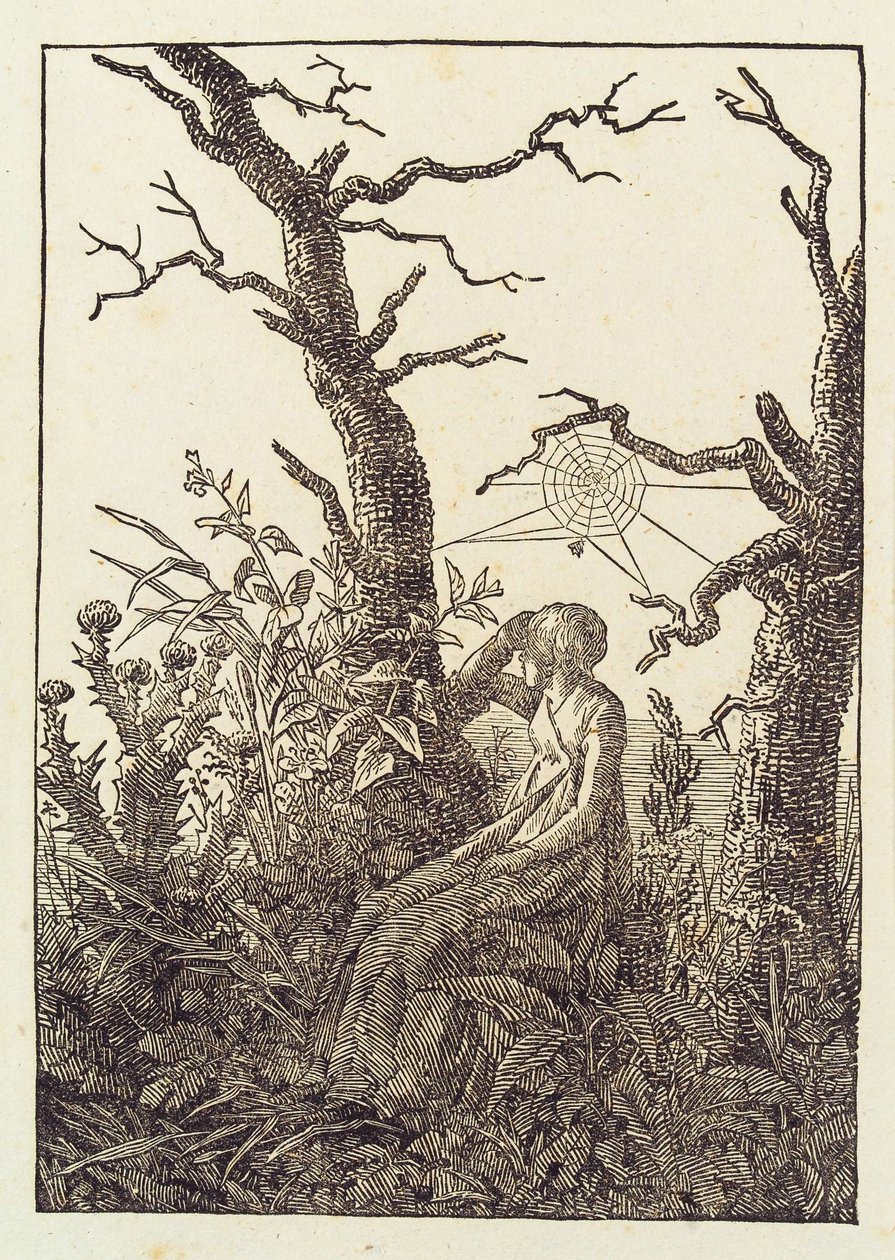 Die Frau mit dem Spinnennetz von Caspar David Friedrich