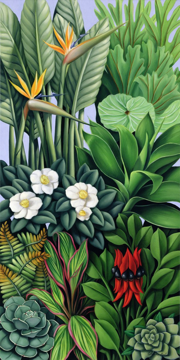 Laub II von Catherine Abel