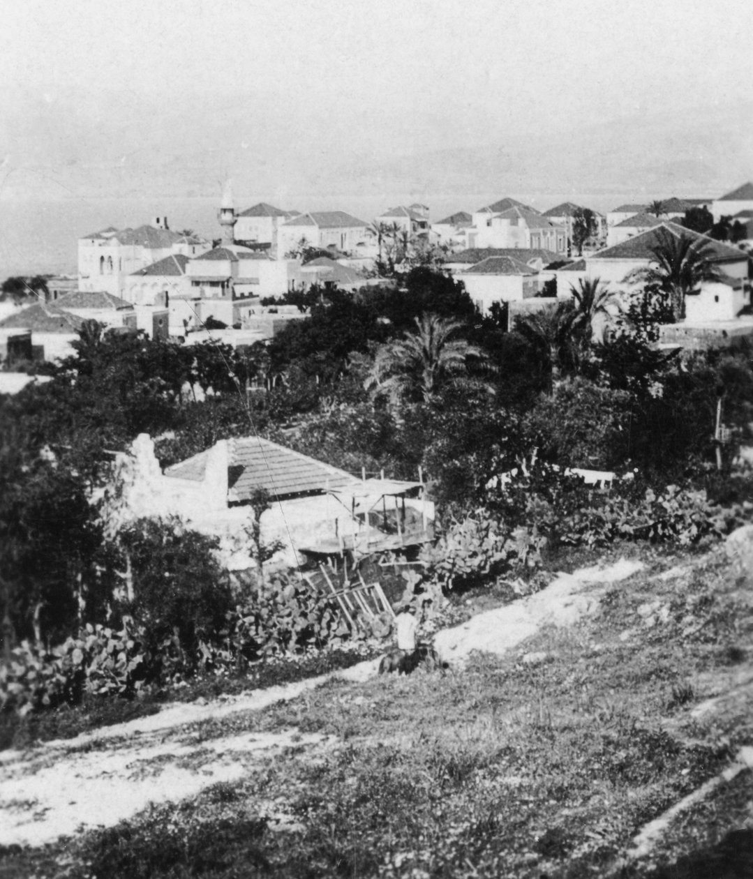 Beirut vom American College, Libanon von Cavanders Ltd