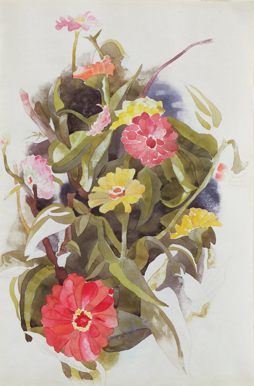 Zinnien von Charles Demuth