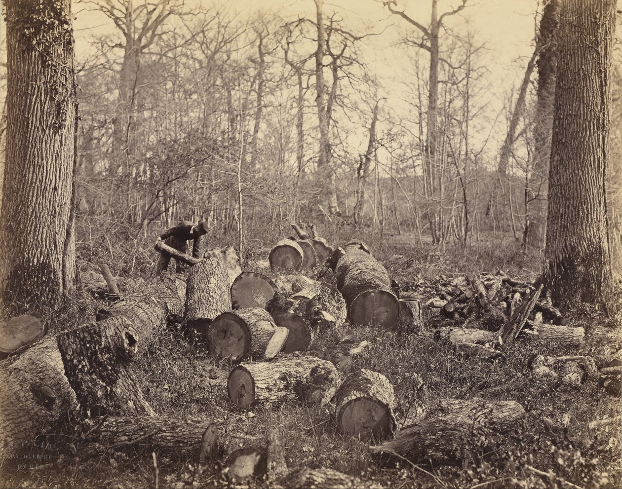 Wald von Fontainebleau von Charles Famin