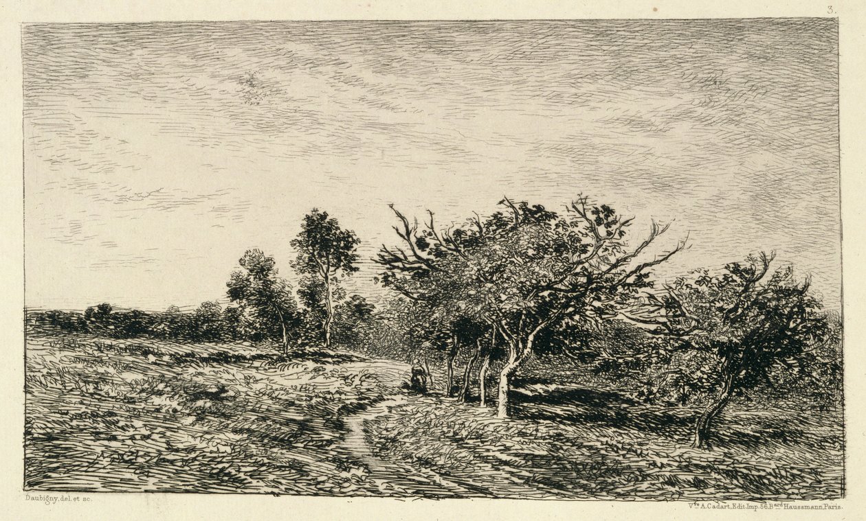 Apfelbäume in Auvers, 1877 von Charles Francois Daubigny