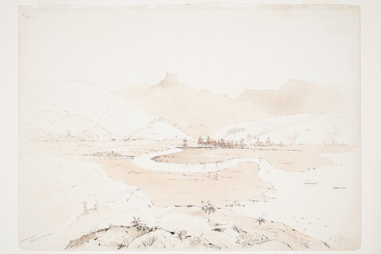 Waiau-Tal Coromandel-Hafen von Charles Heaphy