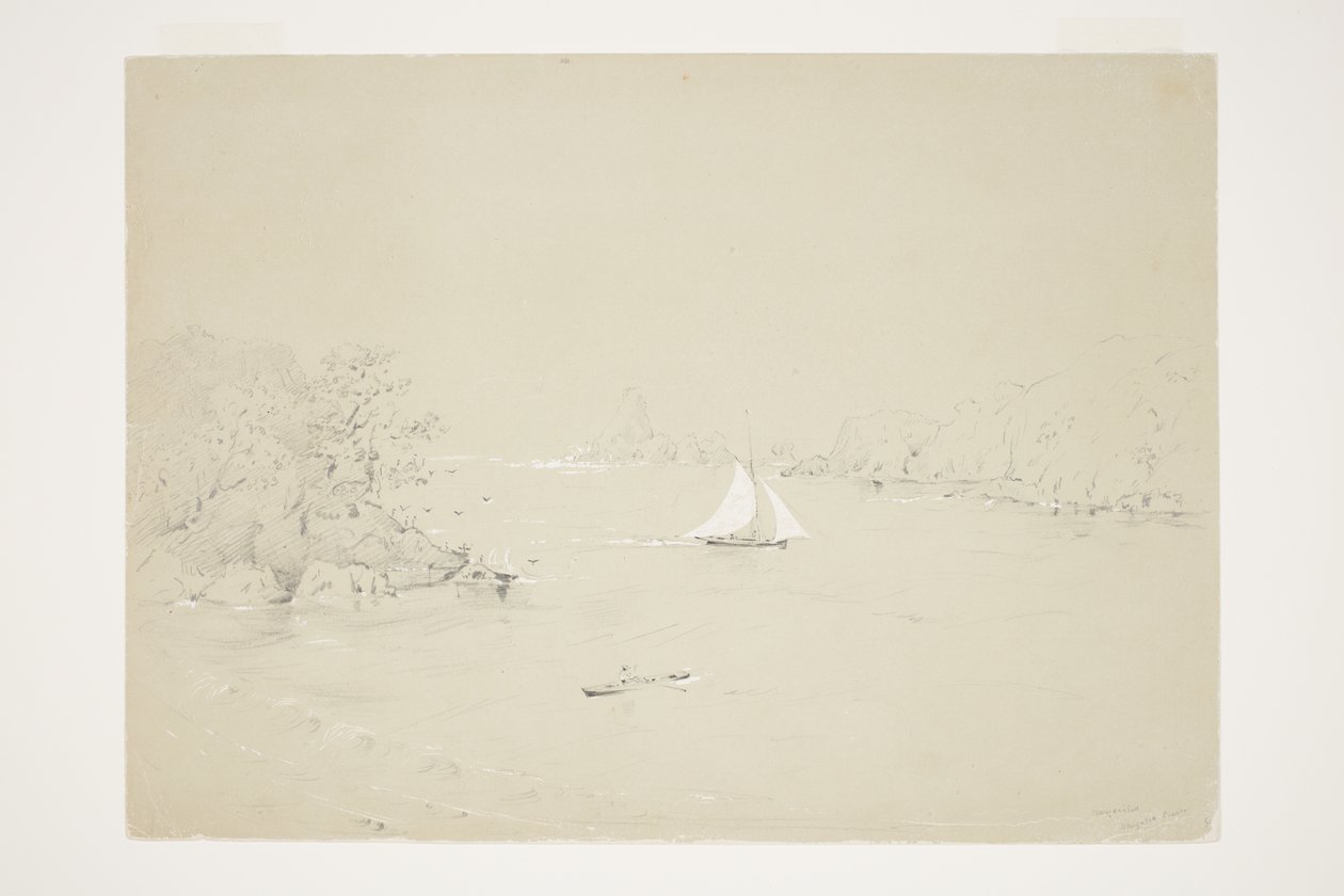 Wangaaihu Wangaroa Küste von Charles Heaphy