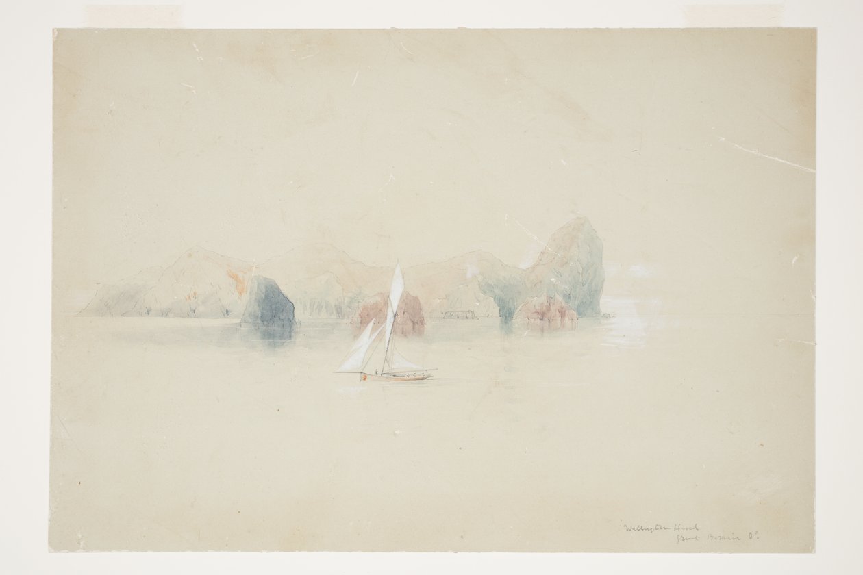 Wellington Head, Great Barrier Island von Charles Heaphy