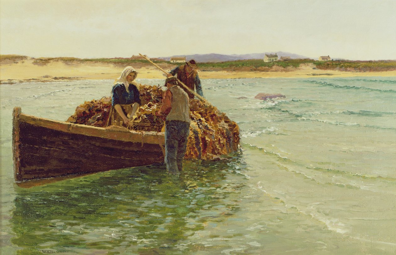 Entladen von Kelp-Algen von Charles William Bartlett