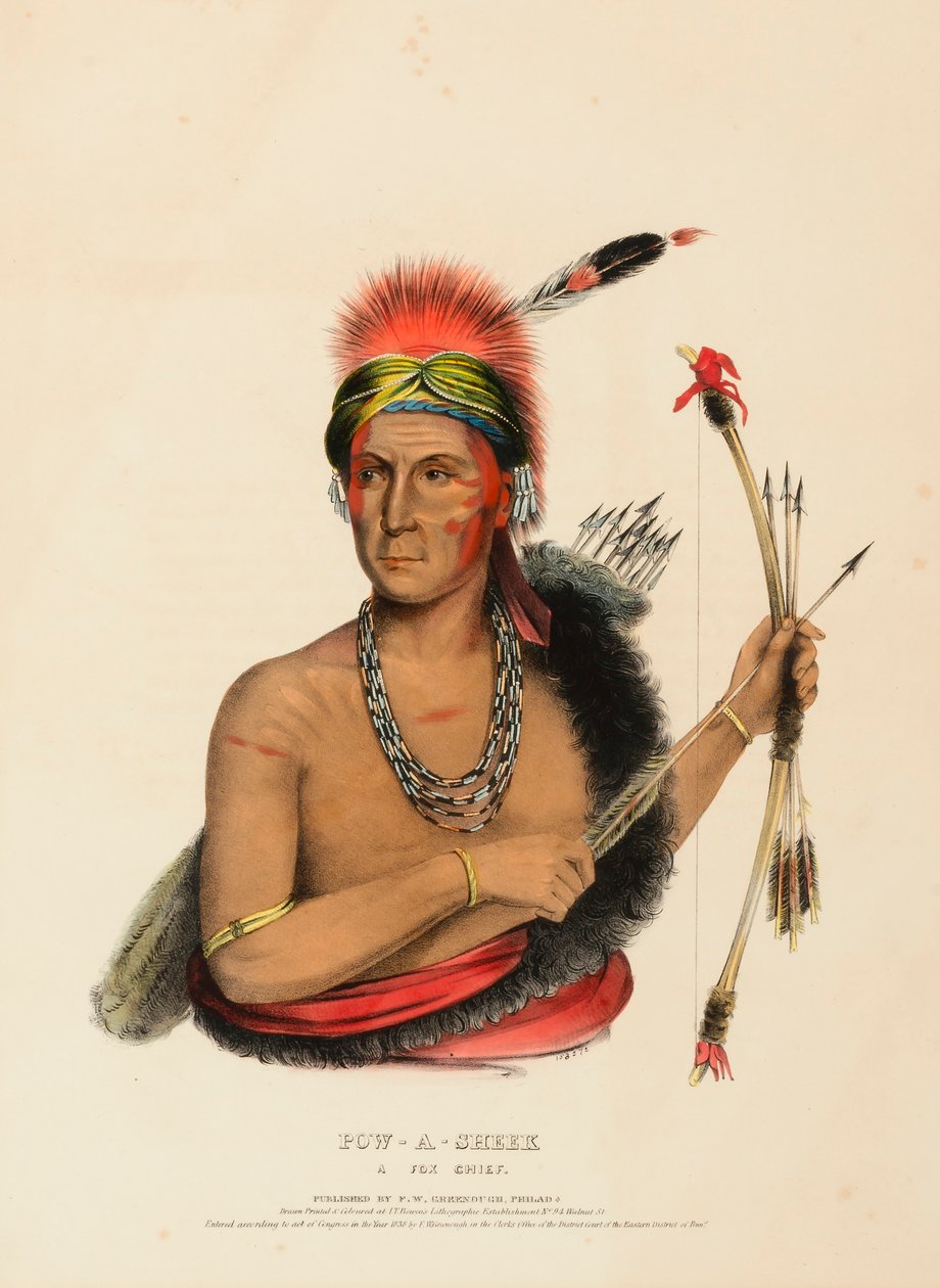 POW-A-SHEEK. EIN FUCHS HÄUPTLING. von Charles Bird King