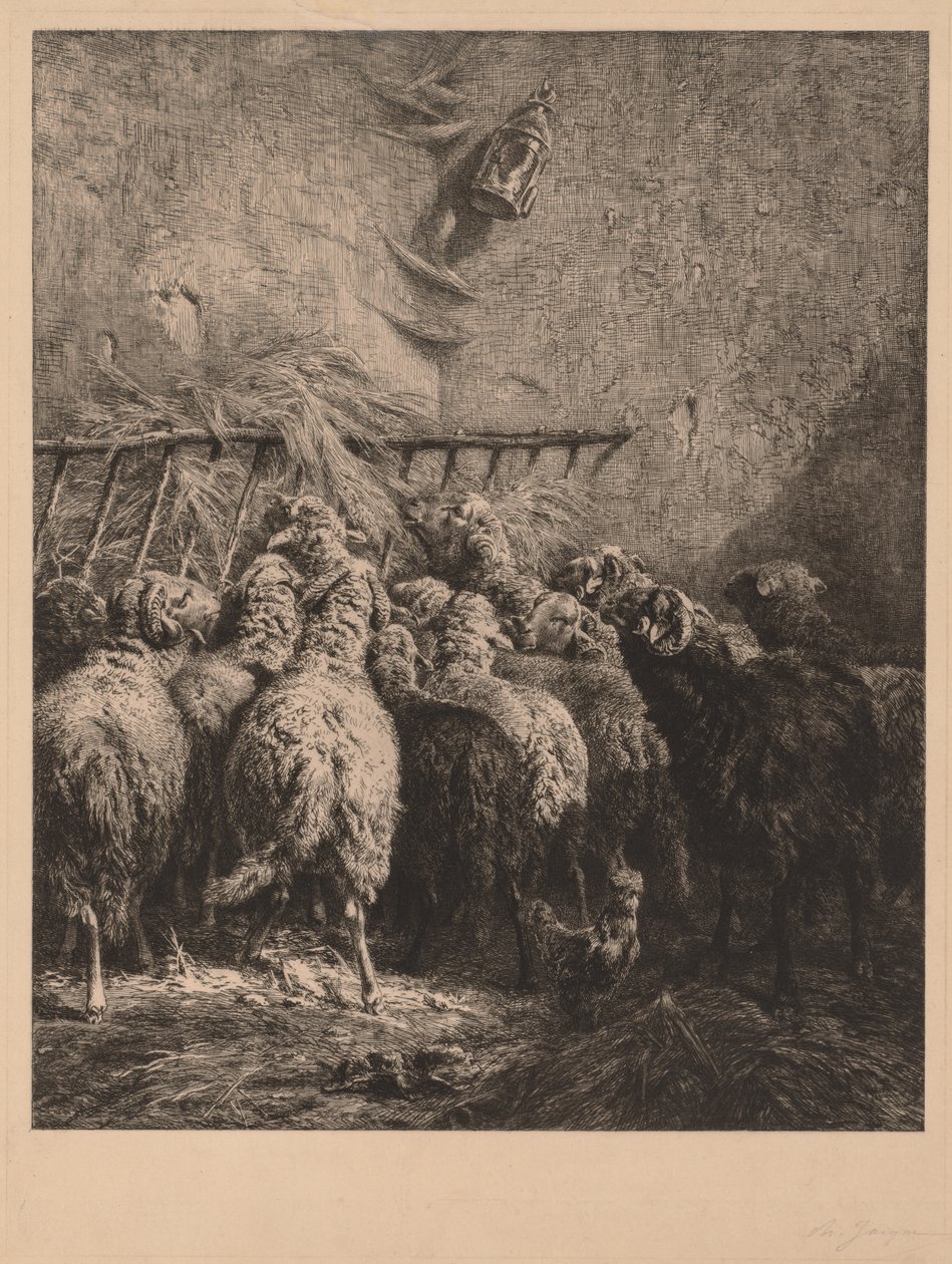 Schafgehege in Béarn von Charles Emile Jacque