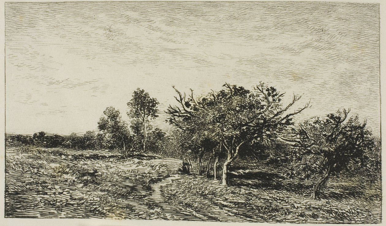 Apfelbäume in Auvers von Charles Francois Daubigny