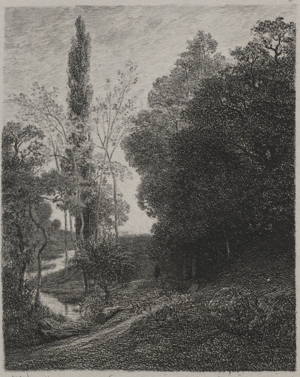 Ufer des Flusses Cousin von Charles Francois Daubigny