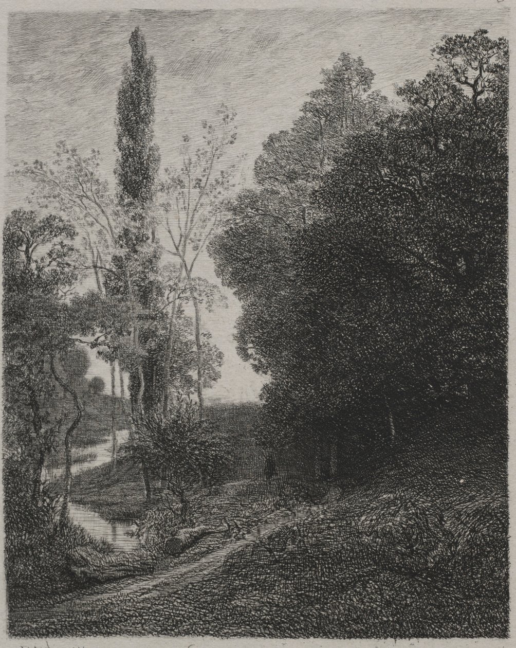Ufer des Flusses Cousin, 1850 von Charles Francois Daubigny