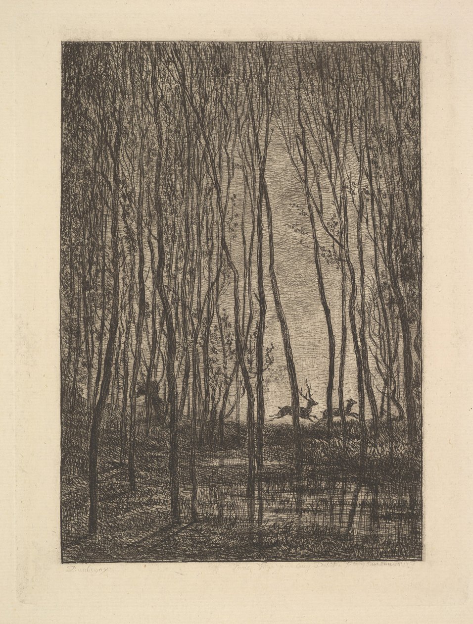 Hirsche im Wald, 1850 von Charles Francois Daubigny