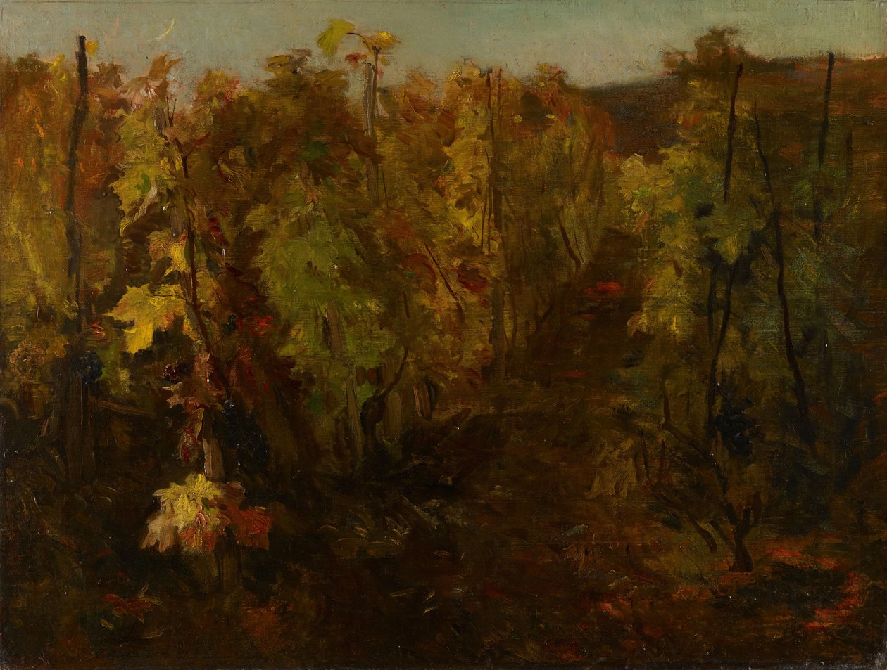 La Vigne [Der Weinstock], 1860-1863 von Charles Francois Daubigny