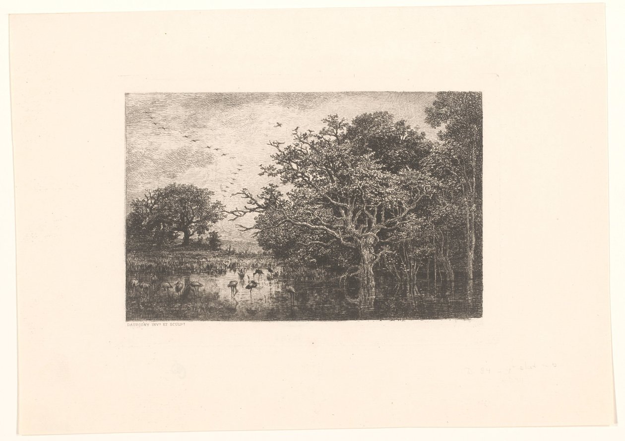 Sumpf mit Störchen von Charles Francois Daubigny