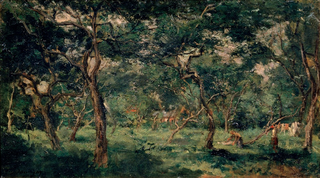 Olivenhain, frühe 1870er von Charles Francois Daubigny