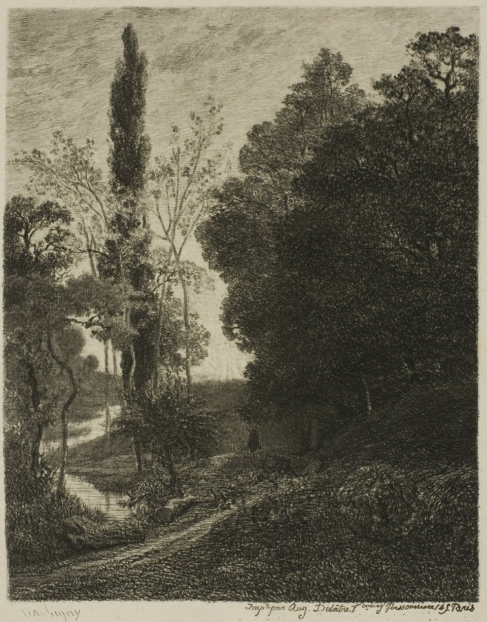Die Ufer der Cousin von Charles Francois Daubigny