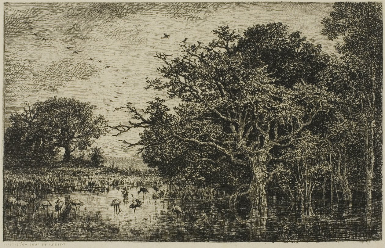 Das Moor mit Störchen von Charles Francois Daubigny