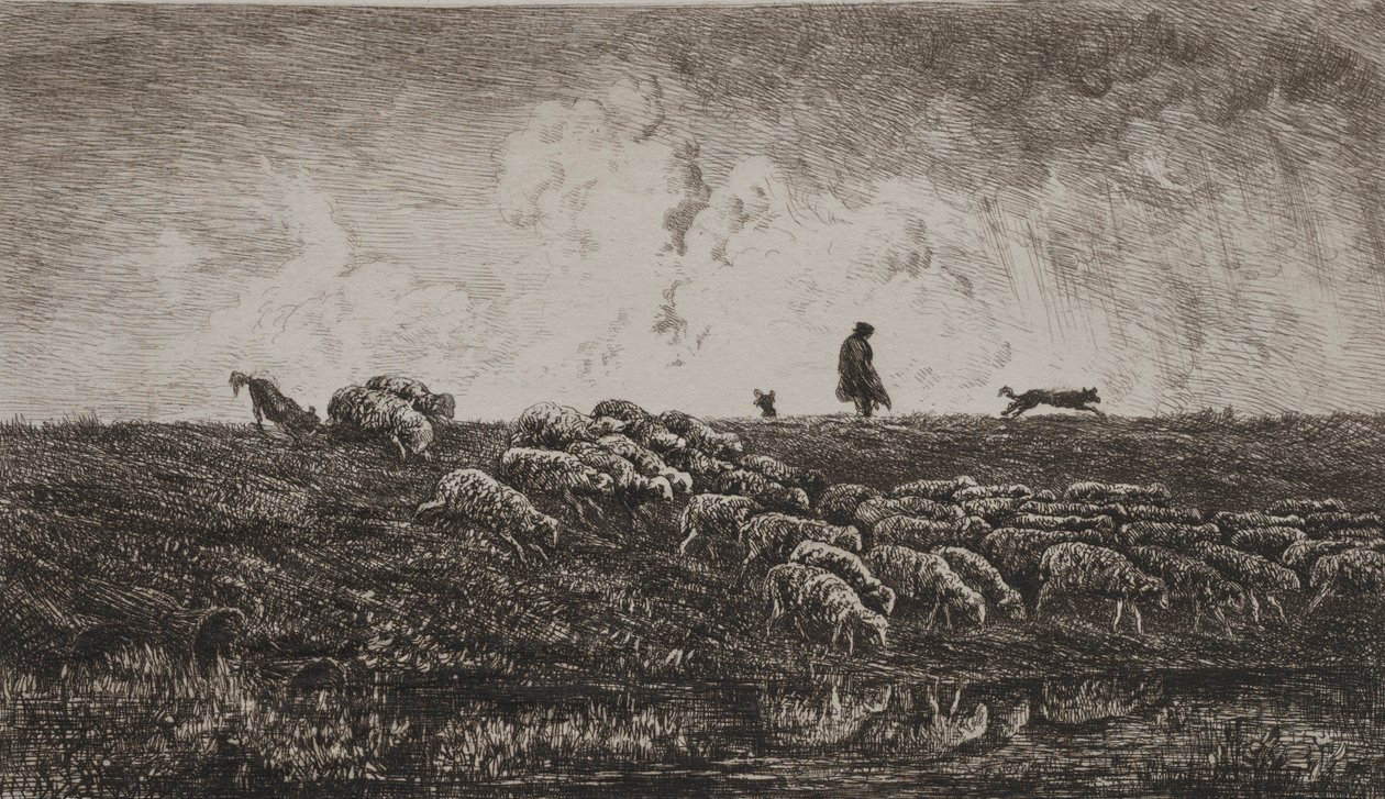 Der Schauer, um 1851 von Charles Francois Daubigny