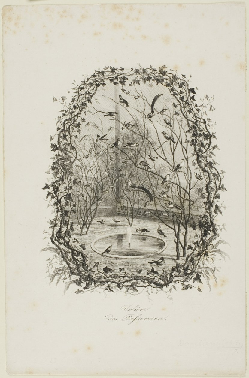 Der Spatzenvoliere von Charles Francois Daubigny